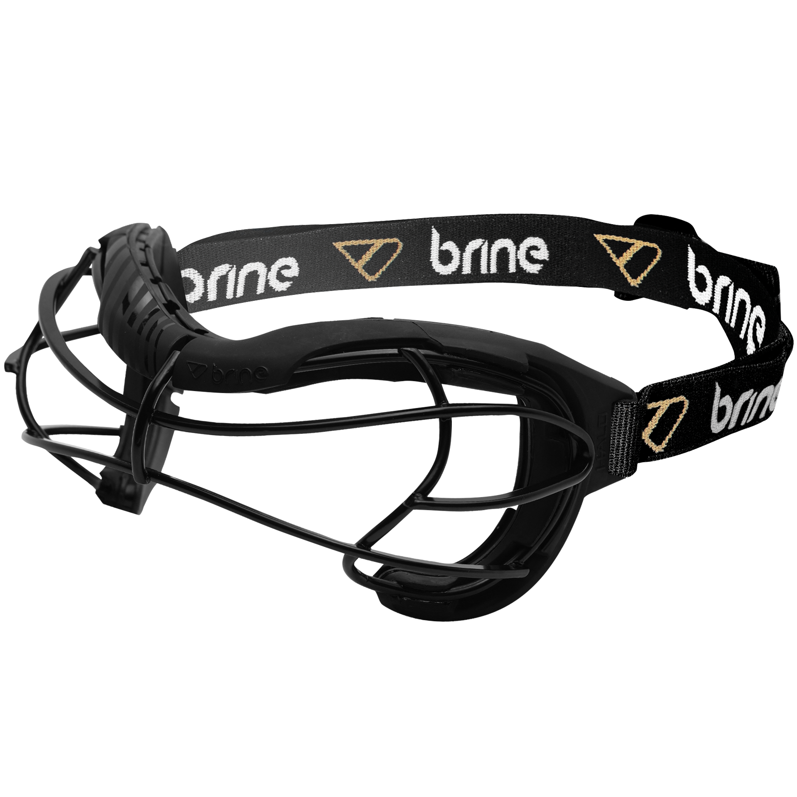 Halo Goggle