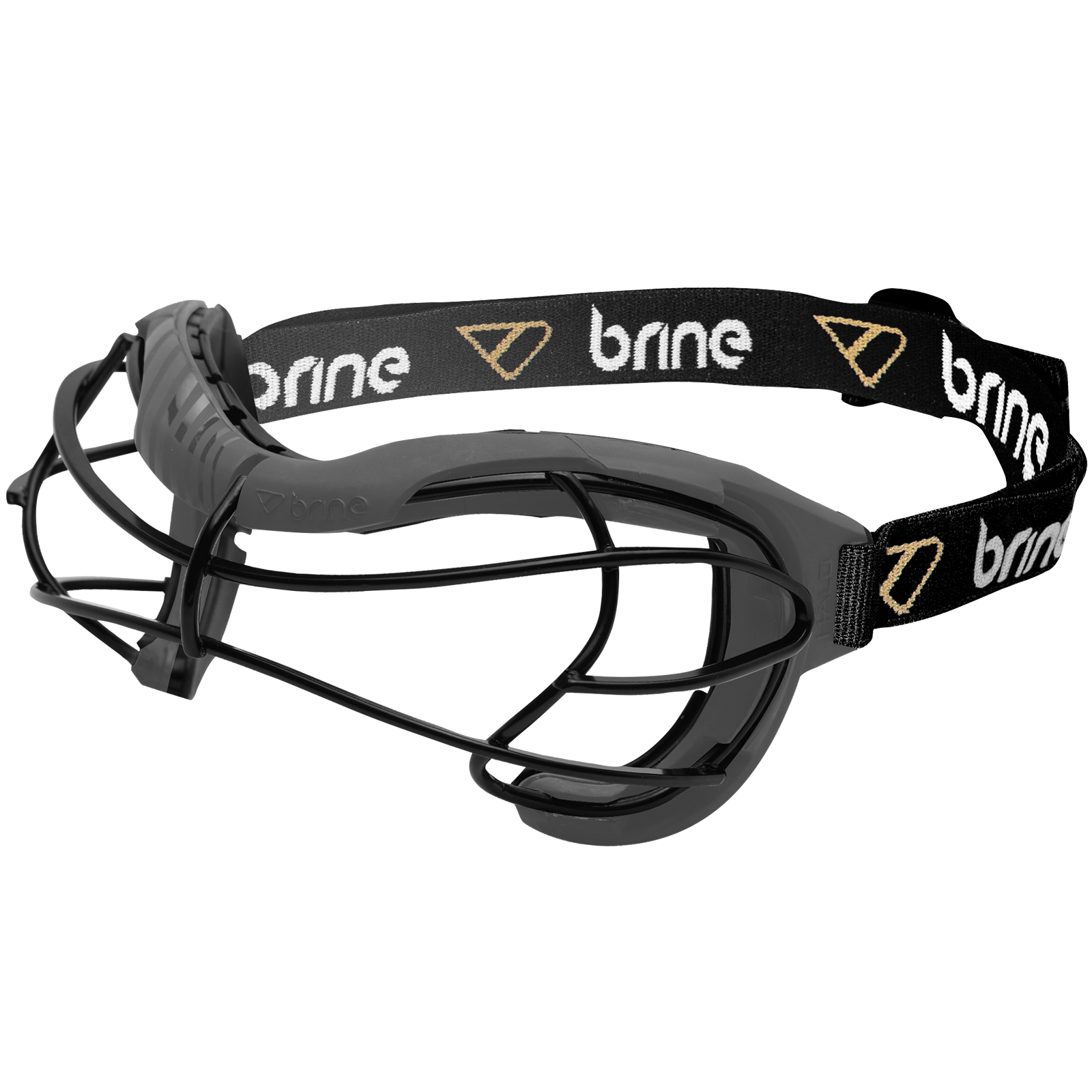 Halo Goggle